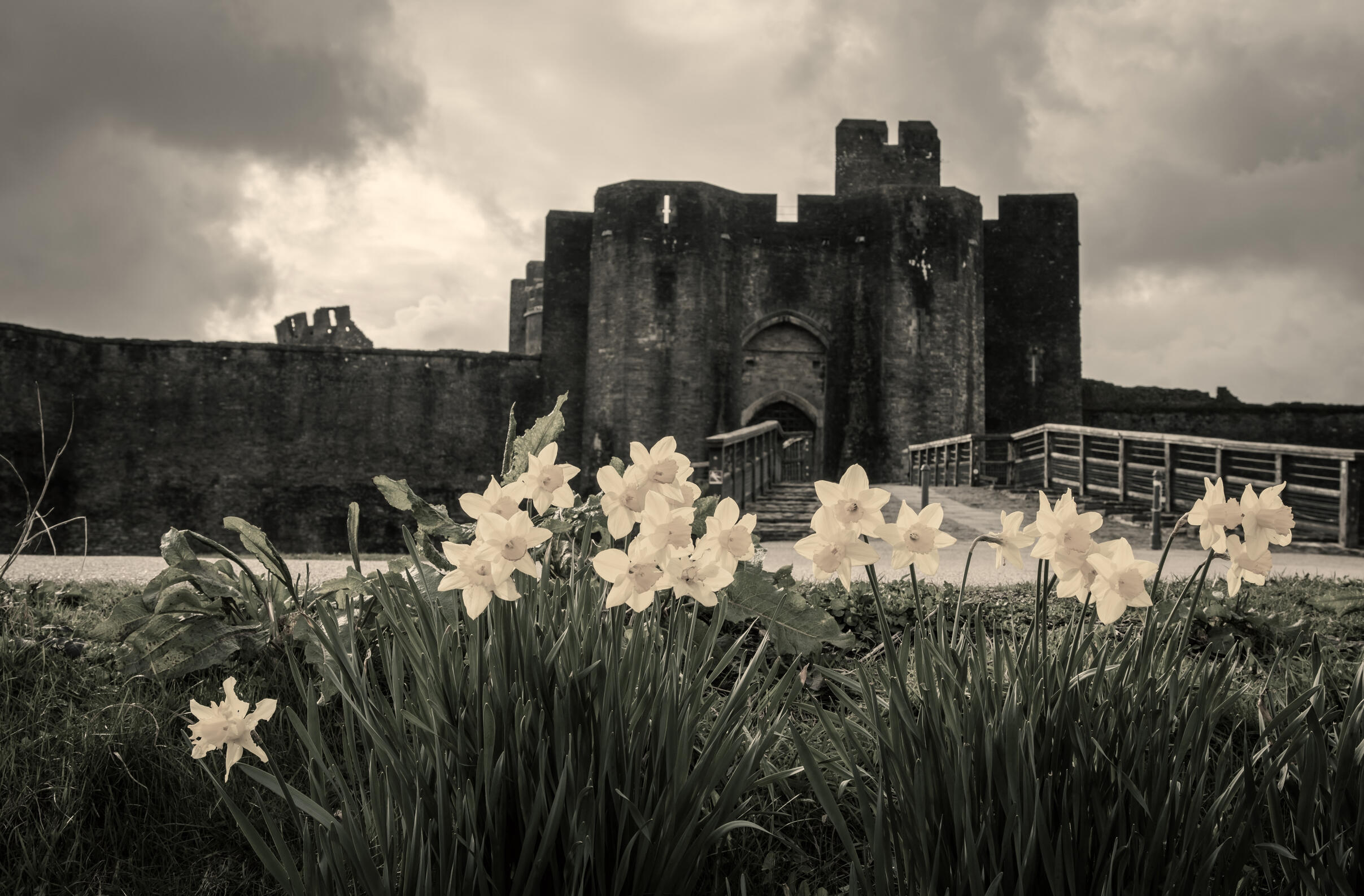 The backdrop of a castle-style structure in the UK countryside.